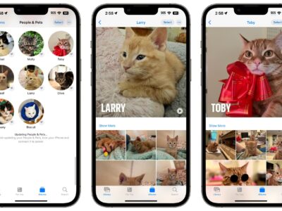 Aplikasi Foto iOS 17 Mengenali Hewan Peliharaanmu 3